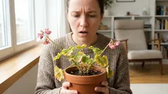 Kúpili ste krásnu kvetinu – a o týždeň zvädla? Toto sa v skutočnosti deje