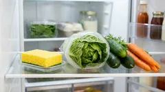 Hubka v chladničke: jednoduchý trik, ktorý používajú skúsené gazdinky