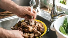 Správne umývanie húb: čo ovplyvňuje textúru a čas smaženia