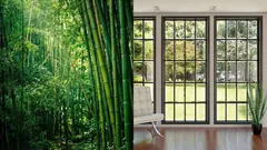 Sklo už nie je potrebné? V Číne testujú okná z priehľadného bambusu