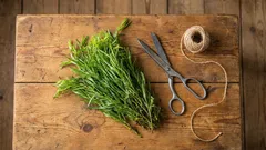 Táto voňavá bylina radikálne mení chuť jedla — ale často sa používa nesprávne.